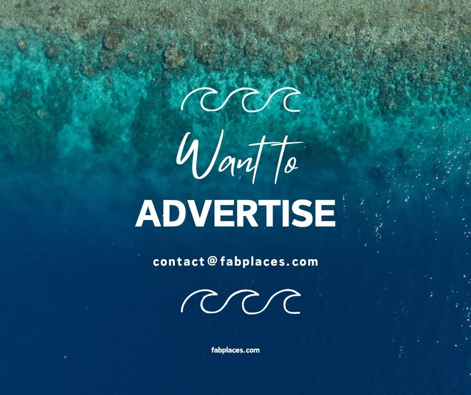 Advertise With Us