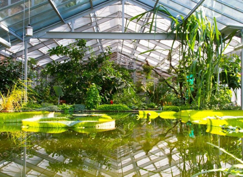 Invernaderos de Gruson , Germany