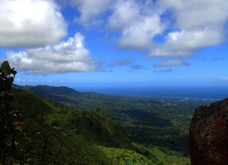 Mount Qua Qua Trail, Grand Etang, St. Andrew, Grenada