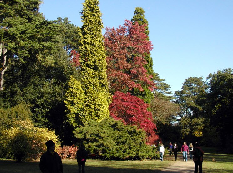 Westonbirt, The National Arboretum, United Kingdom