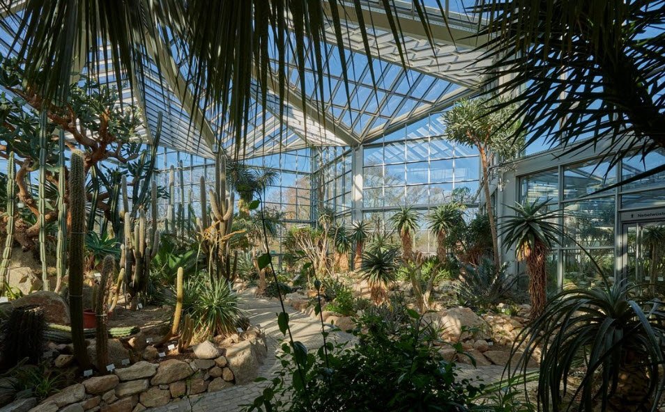 Palmengarten Frankfurt, Frankfurt, Germany, Germany