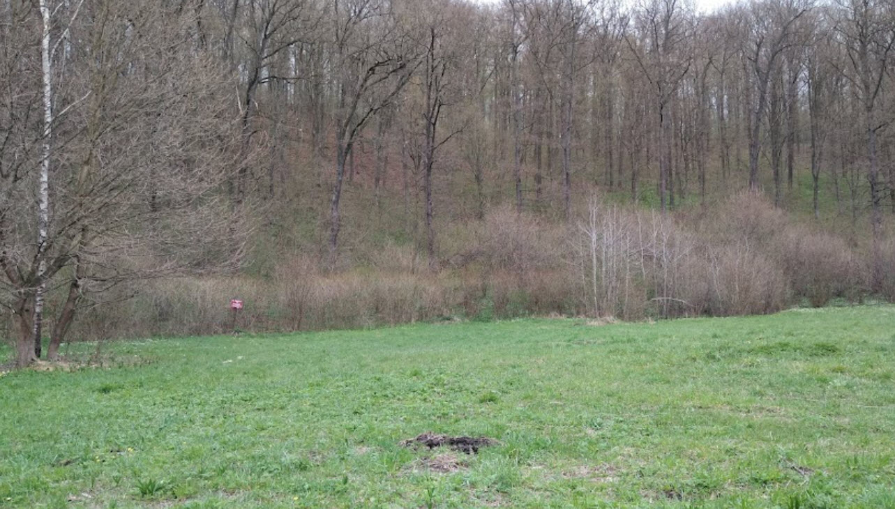 Tuligłowy, Poland