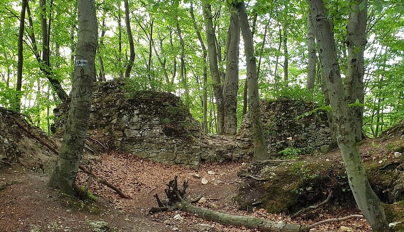Ostrężnik, Poland