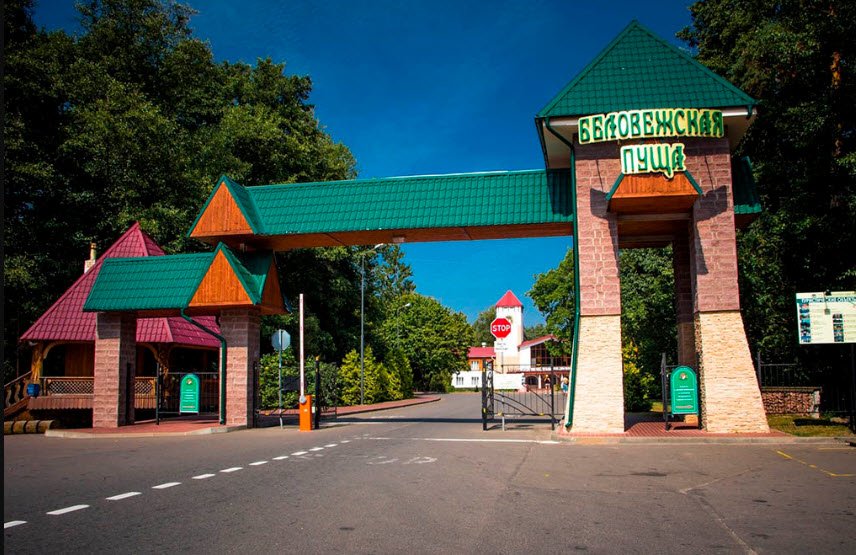 Bielaviežskaja pušča National Park, Brest Region, Belarus