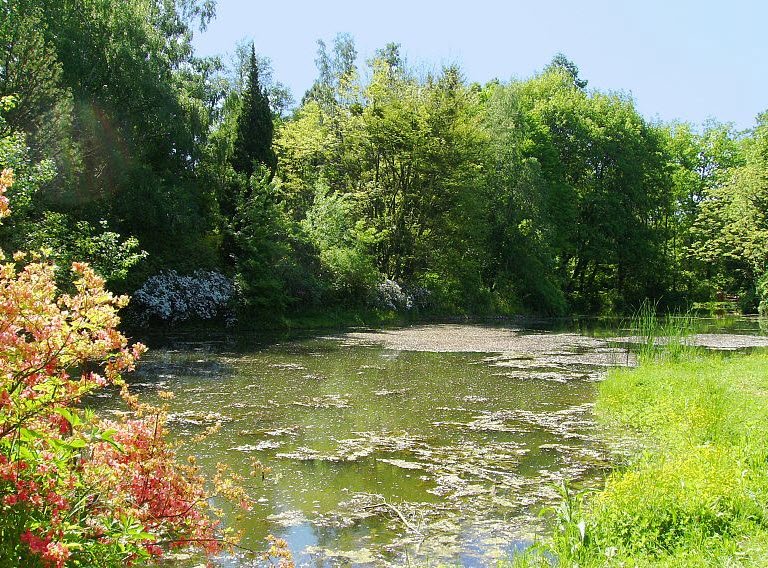 Kámoni Arborétum, Szombathely, Hungary, Hungary