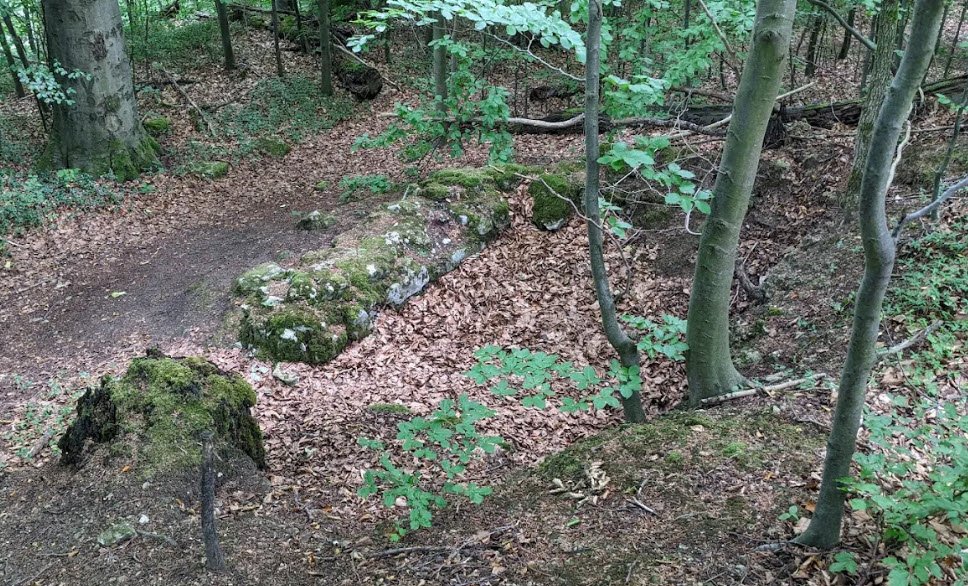 Frauenstein, Harz (Landkreis Osterode am Harz), Germany, Germany