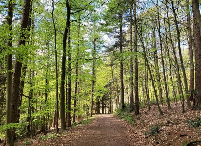 Arboretum Burgholz , Germany
