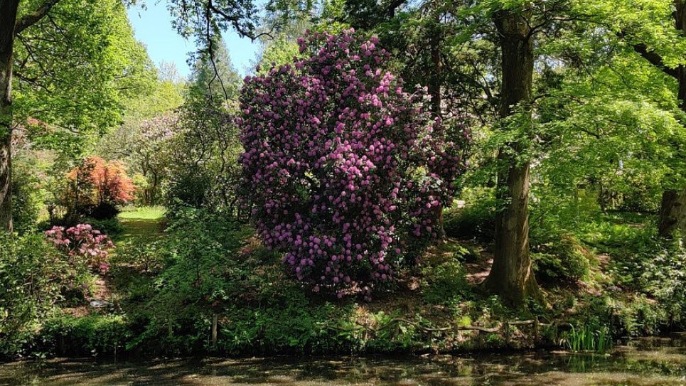 Ramster Gardens, United Kingdom