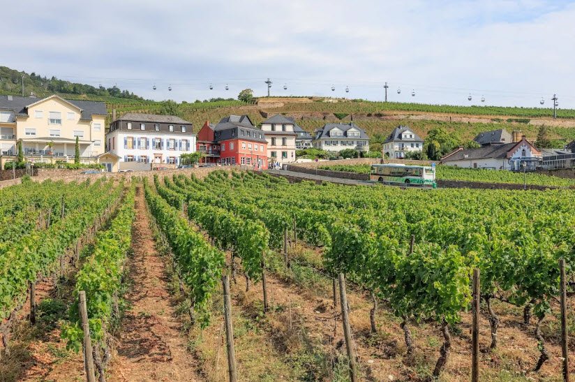 Brömserburg, Rüdesheim am Rhein, Germany, Germany