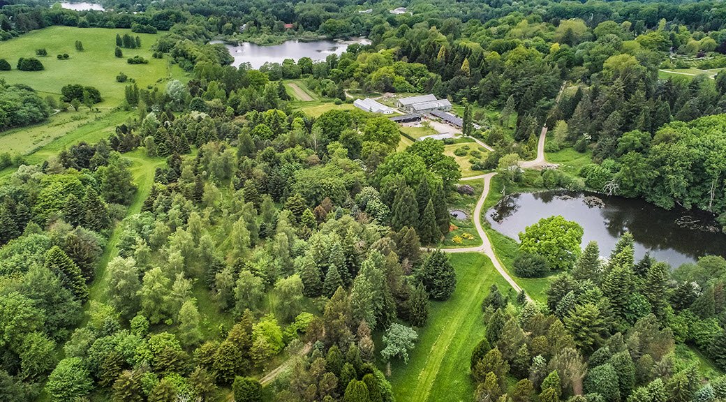 Arboretum, Denmark
