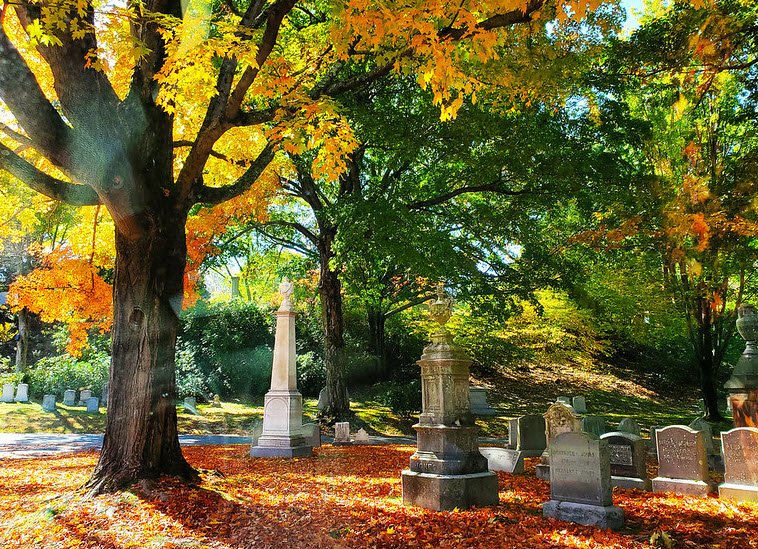 Mount Auburn Cemetery, United States