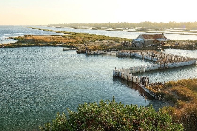 Divjakë , , Albania