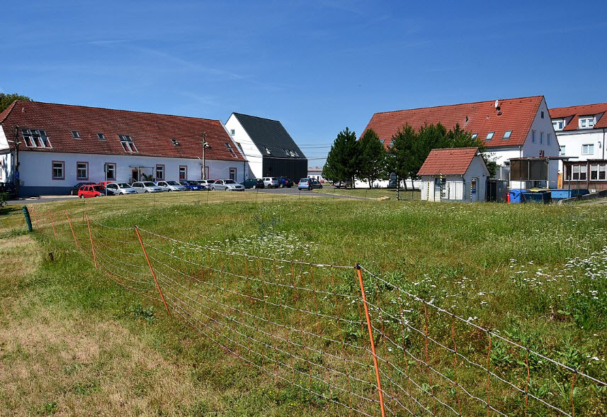 Hliňany, Czech Republic (Czechia)