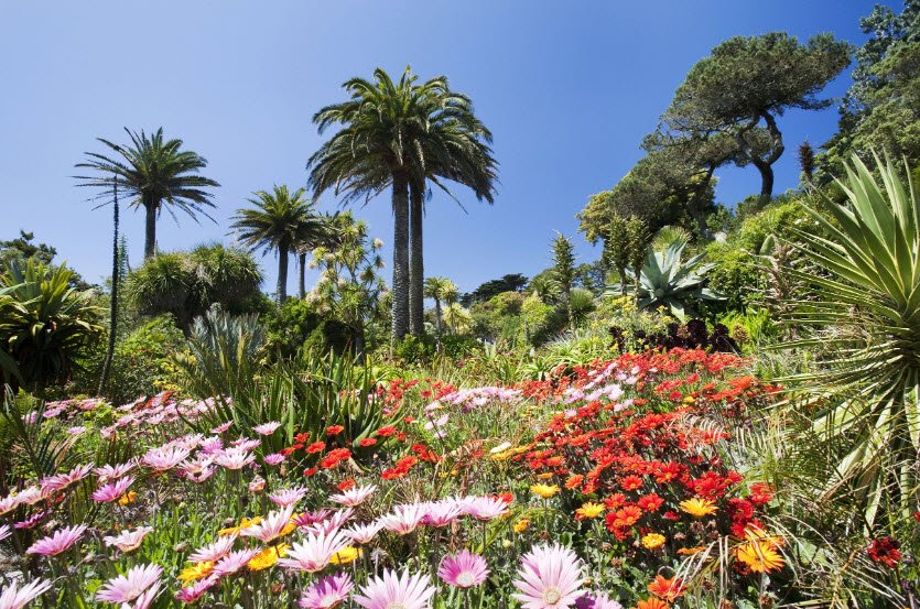 Tresco, Isles of Scilly, United Kingdom