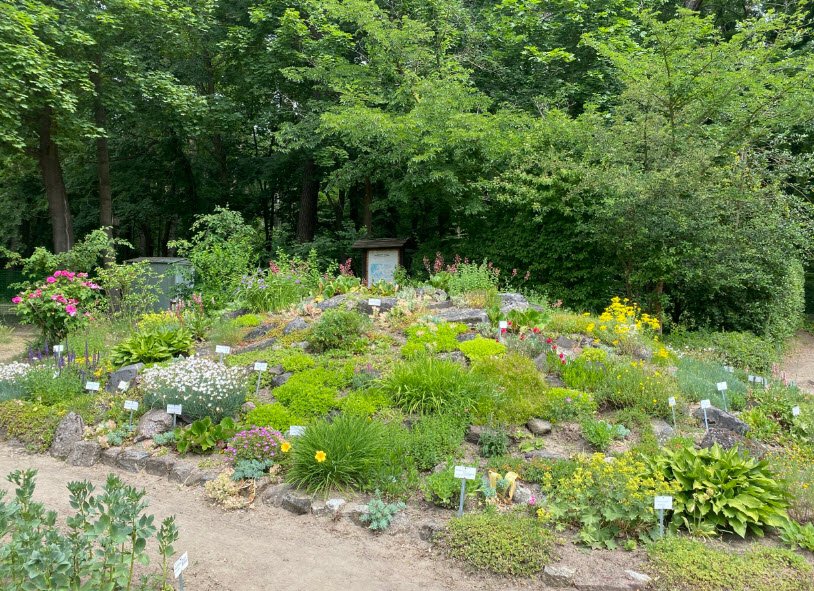 Lehmann Garten, Germany