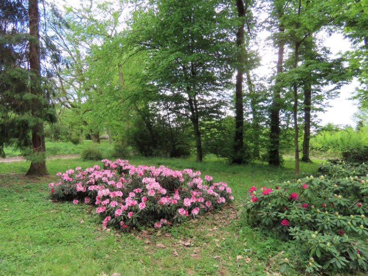 Kámoni Arborétum, Szombathely, Hungary, Hungary