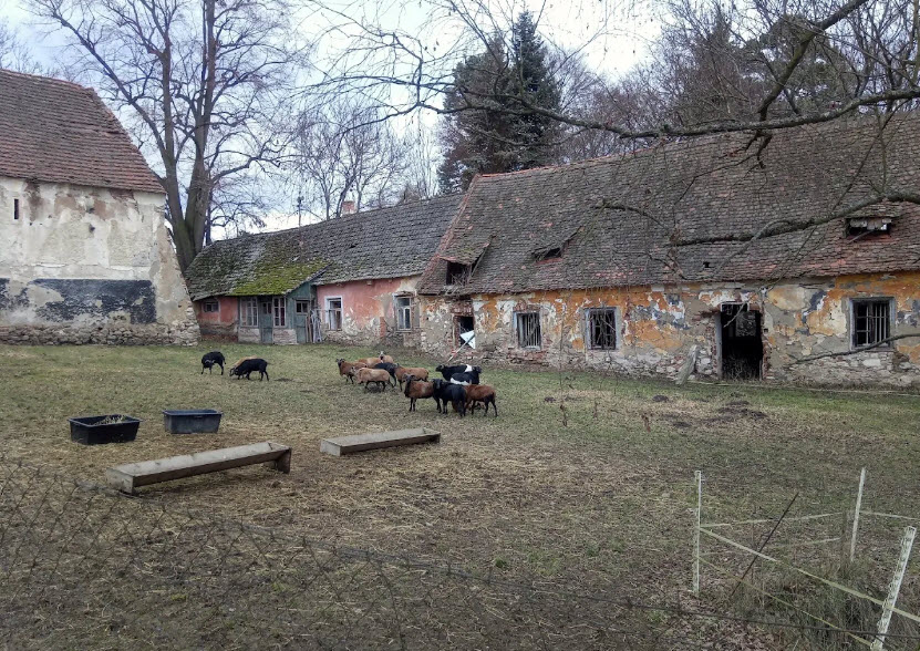 Nadějkov, Czech Republic (Czechia)