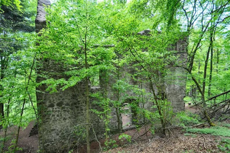 Freudenkoppe, Neroth, Germany, Germany