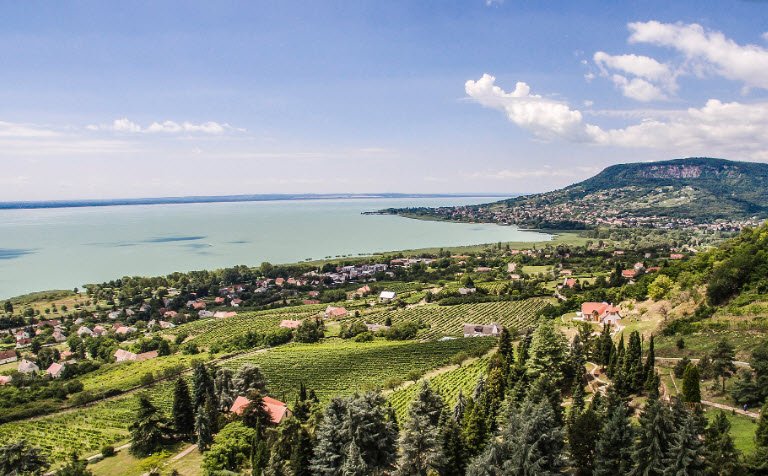 Folly Arboretum and Winery, Hungary, Hungary