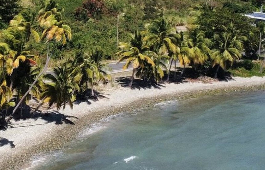 Guardarraya, , Puerto Rico