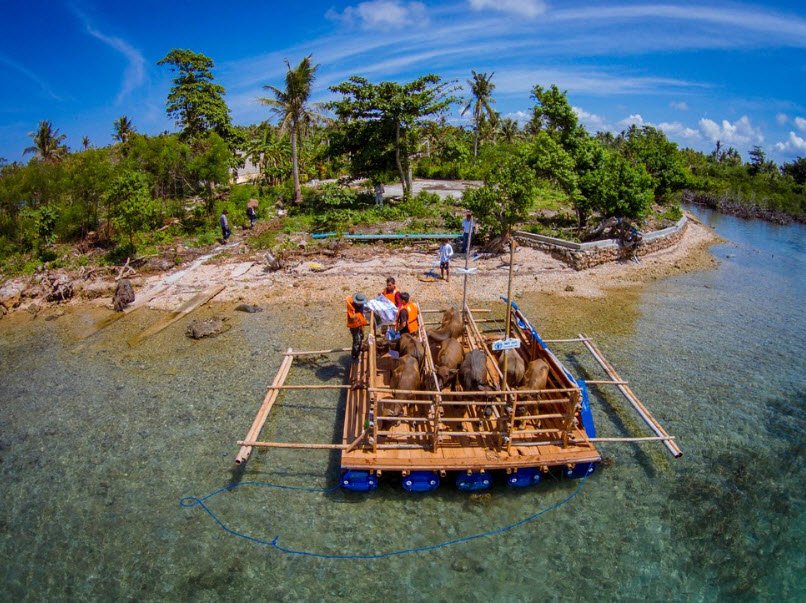 Tubabao , , Philippines