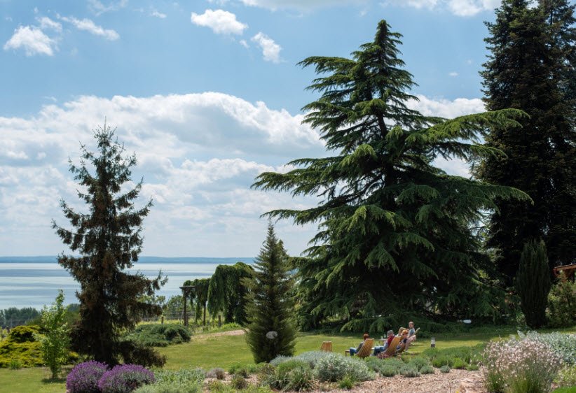 Folly Arboretum and Winery, Hungary, Hungary