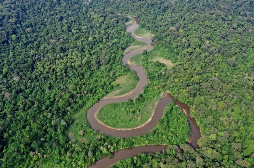 Conkouati-Douli National Park, Kouilou Region (West Congo), DR Congo