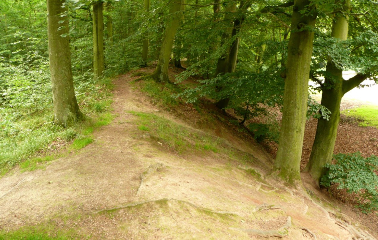 Ringwallanlage "Heisterschlösschen", Germany