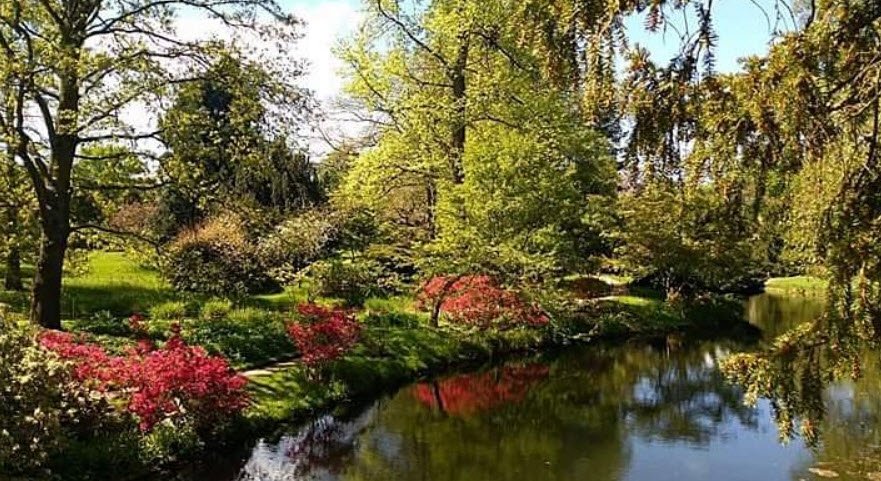 Arboretum de Mazeley, Mazeley, France