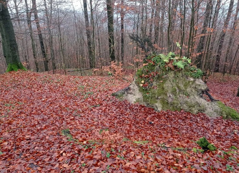 Frauenstein, Harz (Landkreis Osterode am Harz), Germany, Germany