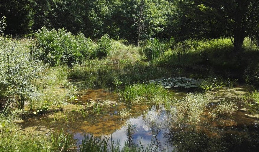 Arboretum, Denmark