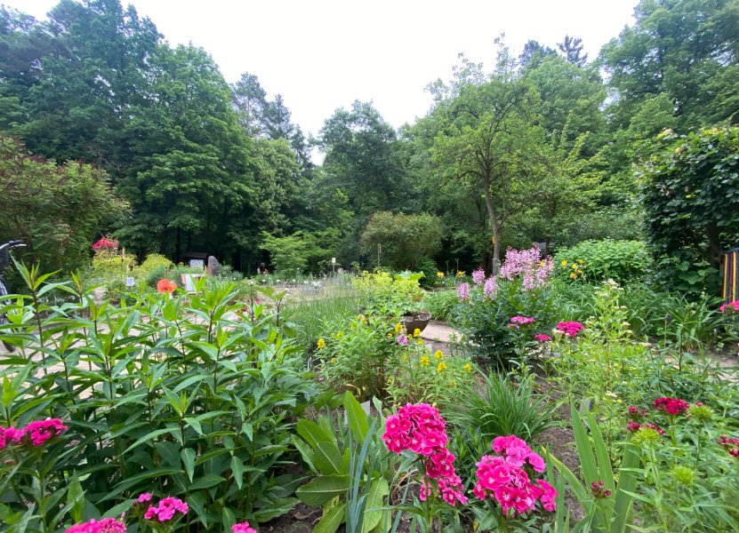 Lehmann Garten, Germany