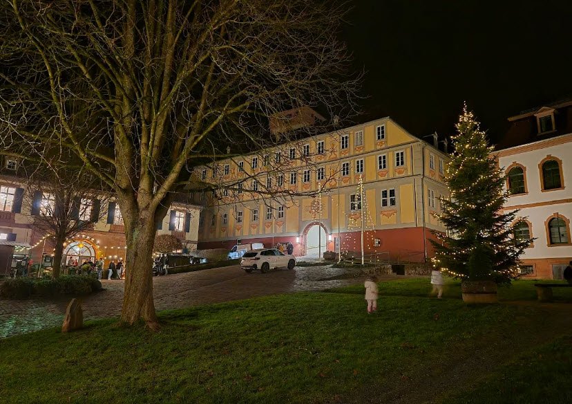 Rentmeisterei, Bad König, Germany, Germany