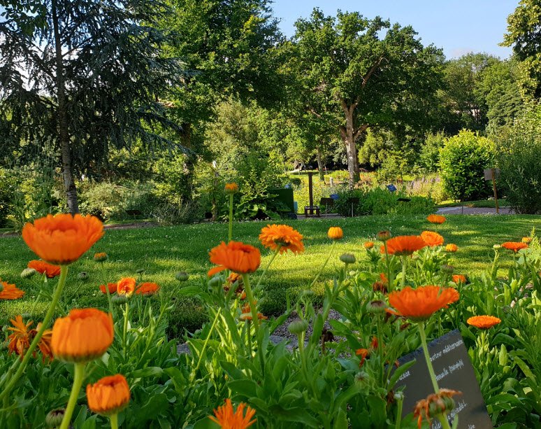Camifolia Garden, Chemillé-en-Anjou, France, France