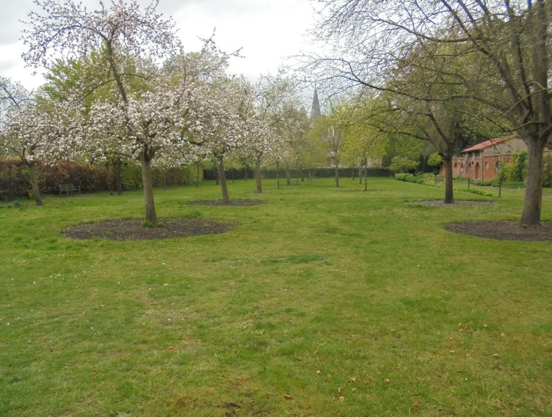 Steytelinckpark, Belgium