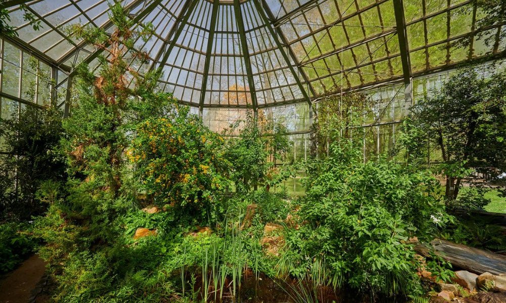 Palmengarten Frankfurt, Frankfurt, Germany, Germany
