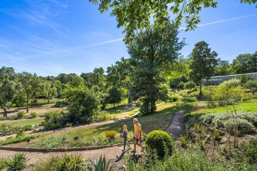 Camifolia Garden, Chemillé-en-Anjou, France, France