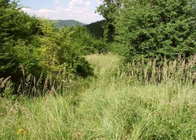 Kastélytető, Hungary