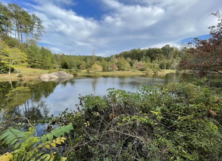 Louisburg College's de Hart Botanical Gardens, United States