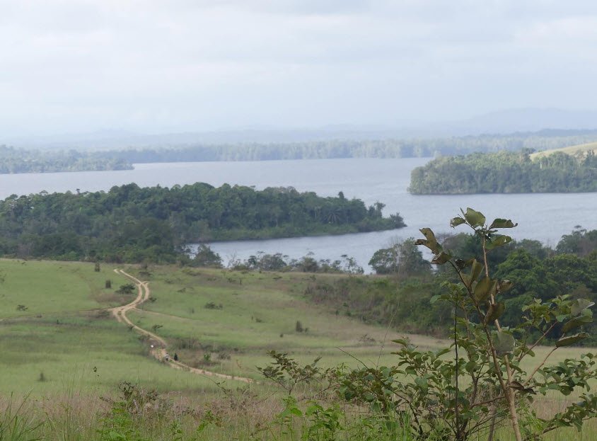 Conkouati-Douli National Park, Kouilou Region (West Congo), DR Congo
