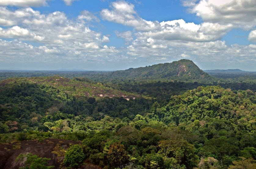 Voltzberg, Central Suriname Nature Reserve, Suriname