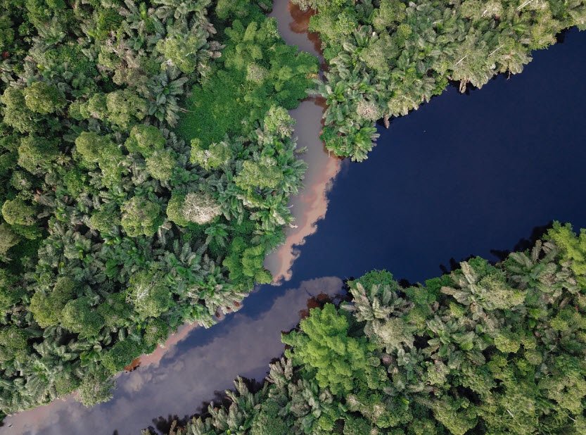Conkouati-Douli National Park, Kouilou Region (West Congo), DR Congo