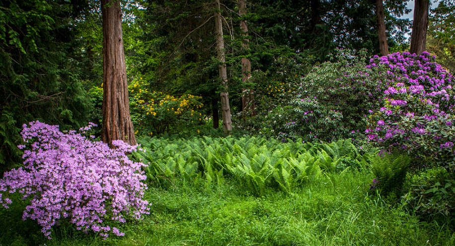 Arboretum, Denmark