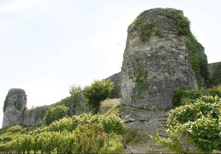 Bellocq, Pyrénées-Atlantiques, France