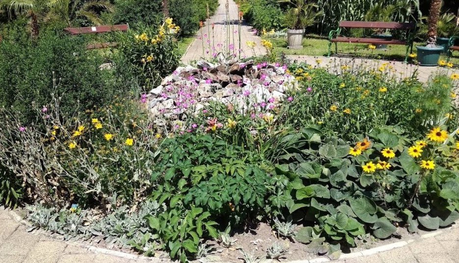 Diószegi Sámuel Iskolai Botanikus Kert, Debrecen, Hungary, Hungary