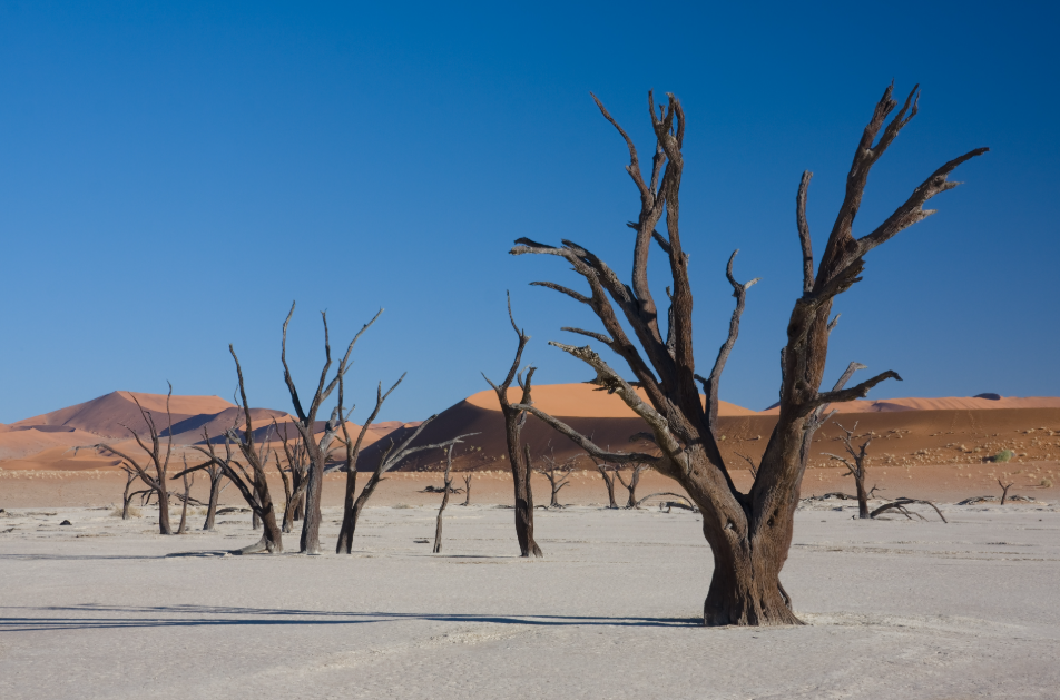 Deadvlei, Namib Desert, Hardap Region, Namibia