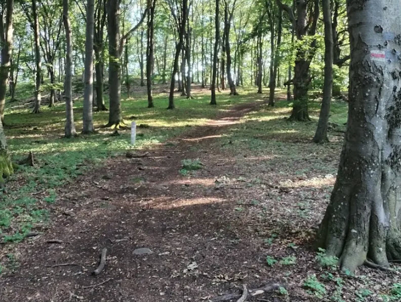 Muzslatető, Hungary