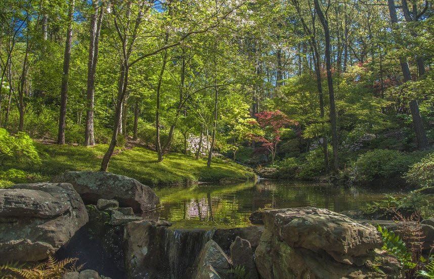 Garvan Woodland Gardens, United States