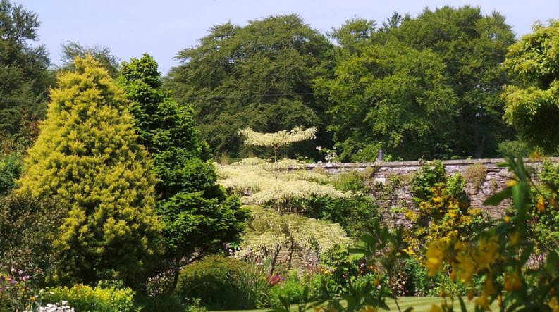 Pitmuies, United Kingdom