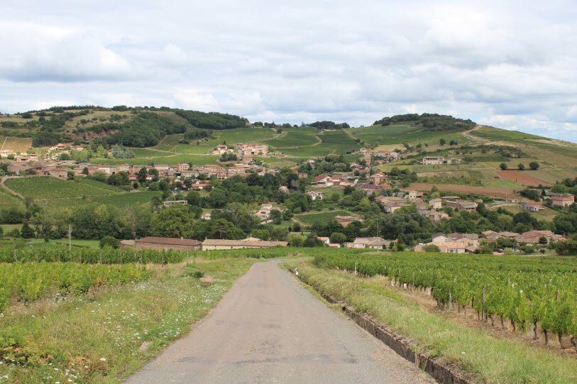 Leynes, France, France